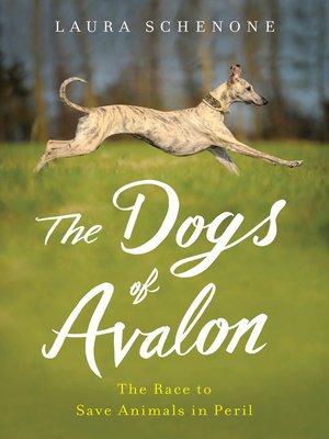 cover image of The Dogs of Avalon